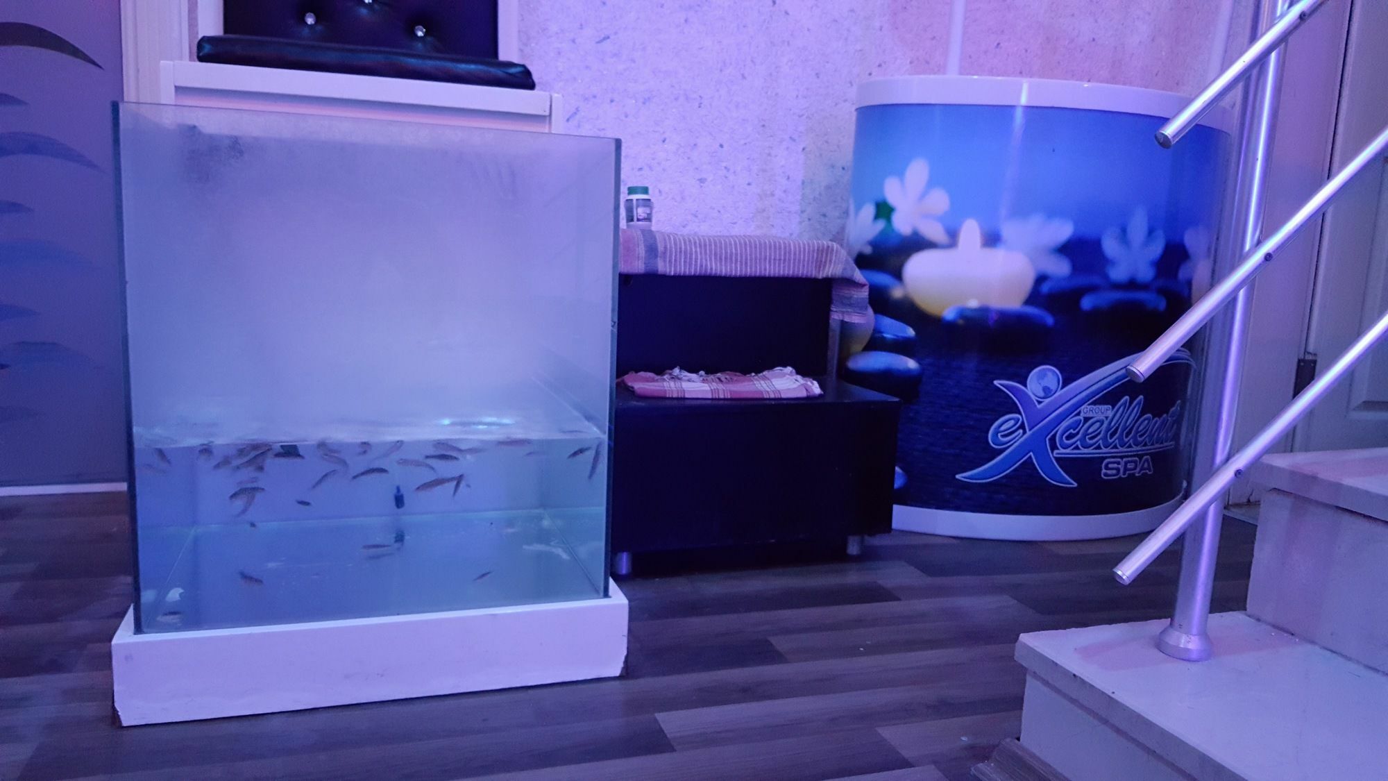 Otel Kleopatra Togan 4*